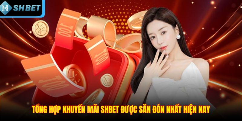 Tổng hợp khuyến mãi SHBET được săn đón nhất hiện nay