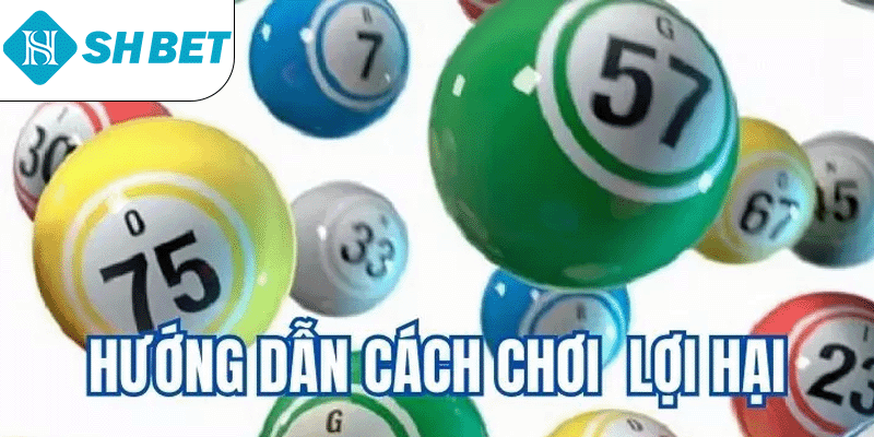 Các loại cược phổ biến nhất trong xổ số 3D SHBET
